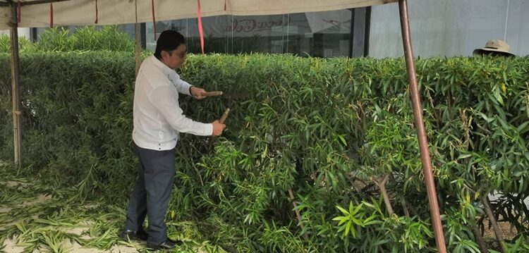 Asean el estacionamiento de la Oficina Fiscal del Estado