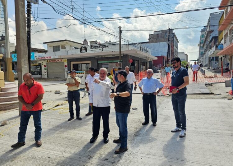 Avanza construcción de la semi peatonal Diaz Mirón