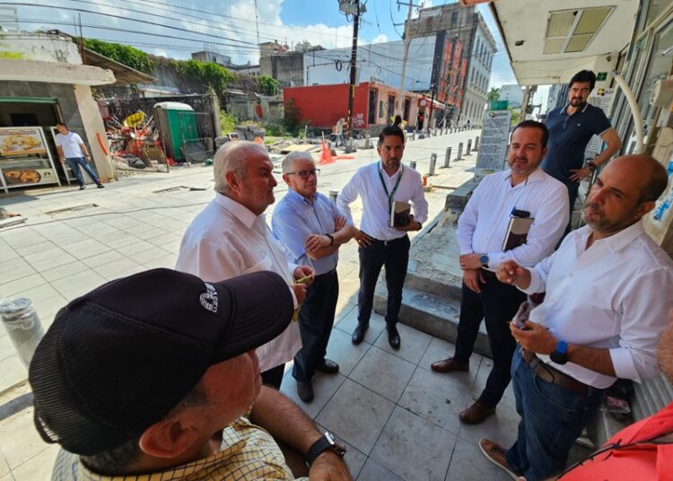 Avanza construcción de la semi peatonal Diaz Mirón