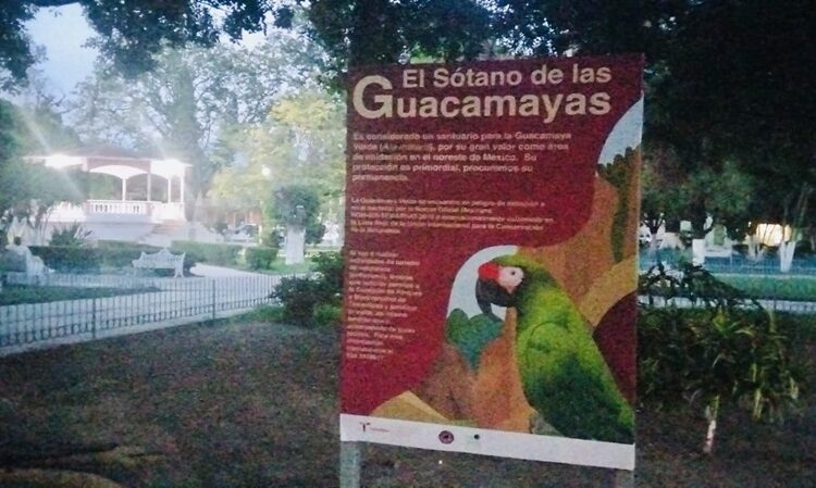 Coloca Comisión de Parques señalética para evitar atropellamientos de fauna