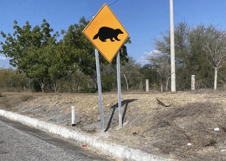 Coloca Comisión de Parques señalética para evitar atropellamientos de fauna