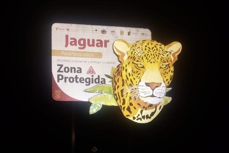 Coloca Comisión de Parques señalética para evitar atropellamientos de fauna