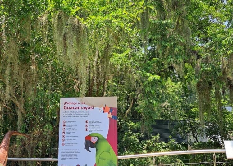 Coloca Comisión de Parques señalética para evitar atropellamientos de fauna