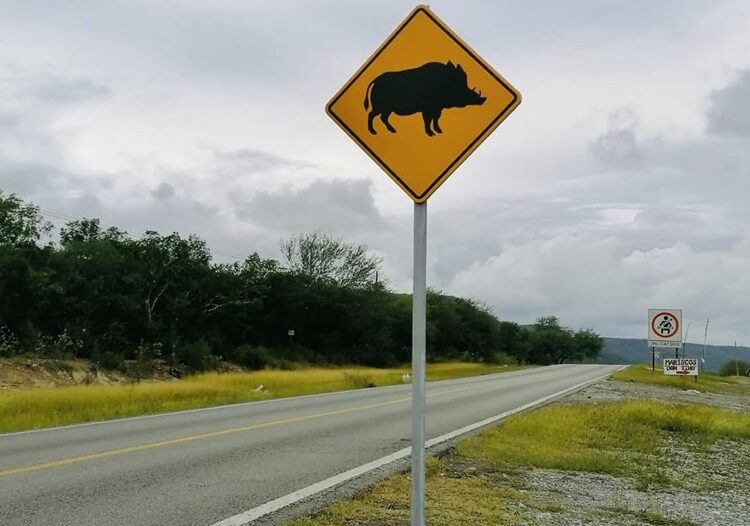 Coloca Comisión de Parques señalética para evitar atropellamientos de fauna