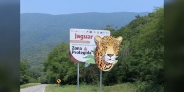 Coloca Comisión de Parques señalética para evitar atropellamientos de fauna