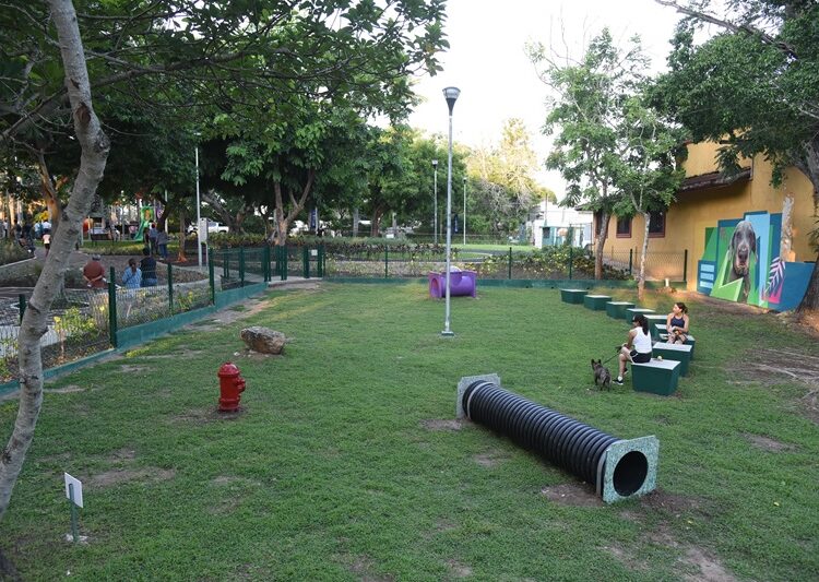 En Tampico, se moderniza infraestructura recreativa