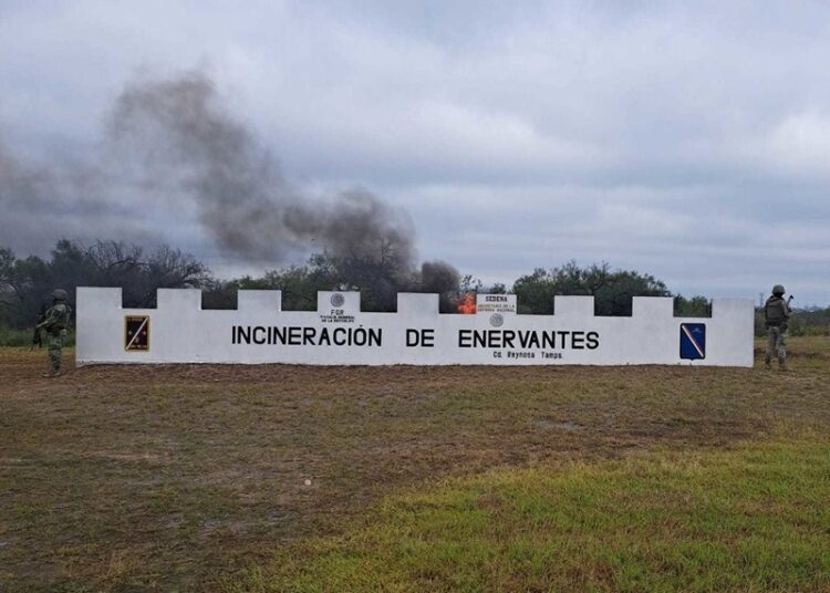 FGR llevó a cabo incineración de narcóticos en Tamaulipas
