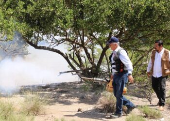 Fortalece SST acciones contra el dengue y pide eliminar criaderos