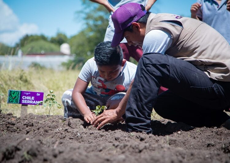 Habilita DIF Tamaulipas nuevos huertos escolares en 10 municipios del estado