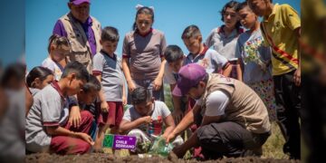 Habilita DIF Tamaulipas nuevos huertos escolares en 10 municipios del estado