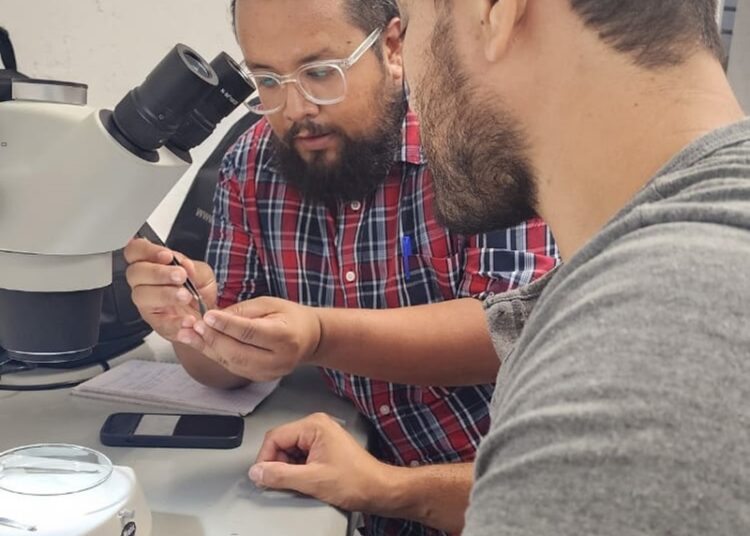 Imparte la UAT un curso especializado de investigación científica en entomología