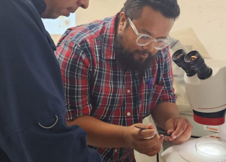 Imparte la UAT un curso especializado de investigación científica en entomología