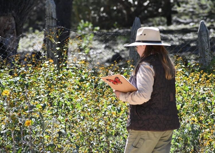 “Invertirá Tamaulipas en la protección del hábitat de la mariposa monarca”: CPBT
