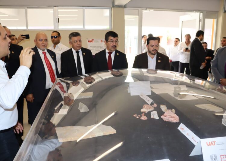 La UAT y la Secretaría de Desarrollo Energético crean el Instituto de Energía en Tamaulipas