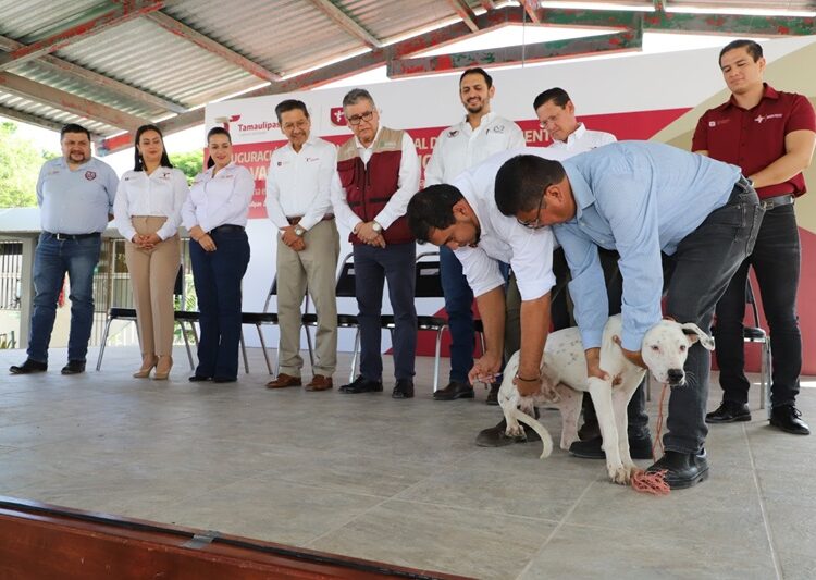 Pide SST vacunar perros y gatos en el marco de la Jornada de Vacunación Antirrábica
