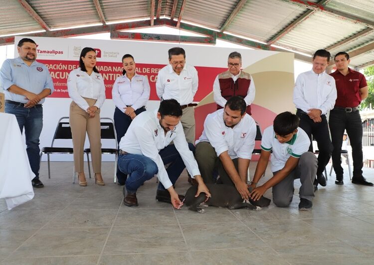 Pide SST vacunar perros y gatos en el marco de la Jornada de Vacunación Antirrábica