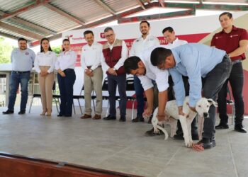 Pide SST vacunar perros y gatos en el marco de la Jornada de Vacunación Antirrábica