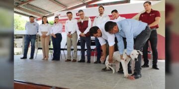 Pide SST vacunar perros y gatos en el marco de la Jornada de Vacunación Antirrábica