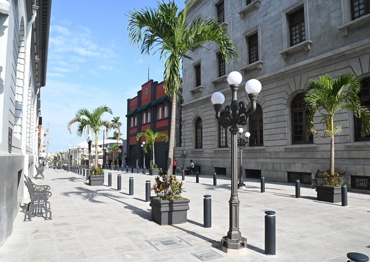 Por concluir conversión a semipeatonal de la calle Salvador Díaz Mirón