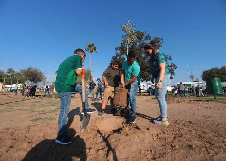 Reforestan espacios públicos con programa municipal “Sembrando Vida”