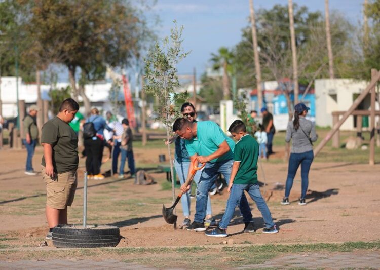 Reforestan espacios públicos con programa municipal “Sembrando Vida”