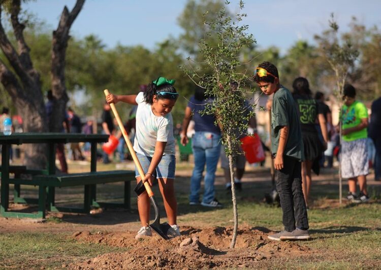 Reforestan espacios públicos con programa municipal “Sembrando Vida”