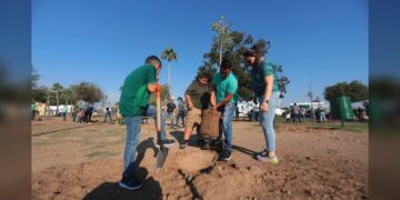 Reforestan espacios públicos con programa municipal “Sembrando Vida”