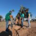 Reforestan espacios públicos con programa municipal “Sembrando Vida”
