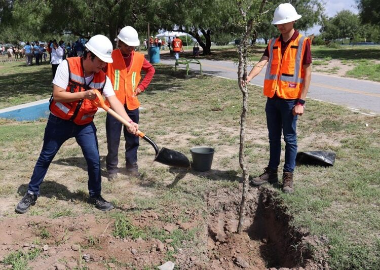 Se unen SEDUMA y estudiantes para reforestar laguna ‘La Escondida’ en Reynosa