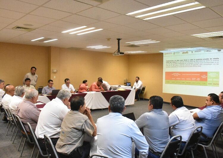 Inicia en Tamaulipas proceso de precertificación del estatus zoosanitario