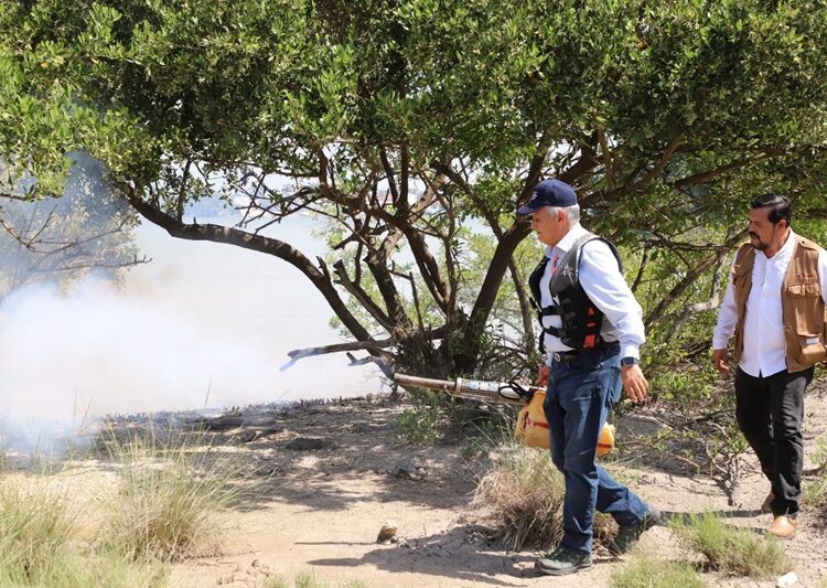 Fortalece SST acciones contra el dengue y pide eliminar criaderos