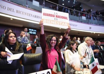 Guardia Nacional, facultada para investigar delitos del fuero federal: Olga
