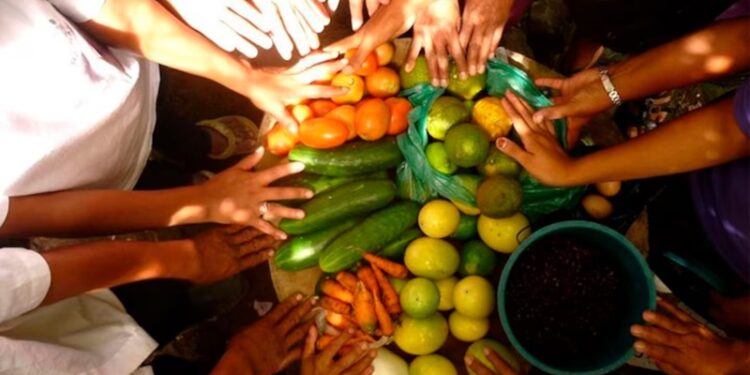 Desperdicio de comida serviría para alimentar a 23.4 millones de mexicanos