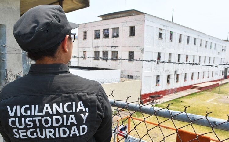 Avanzan CEDES de Tamaulipas en clasificación nacional