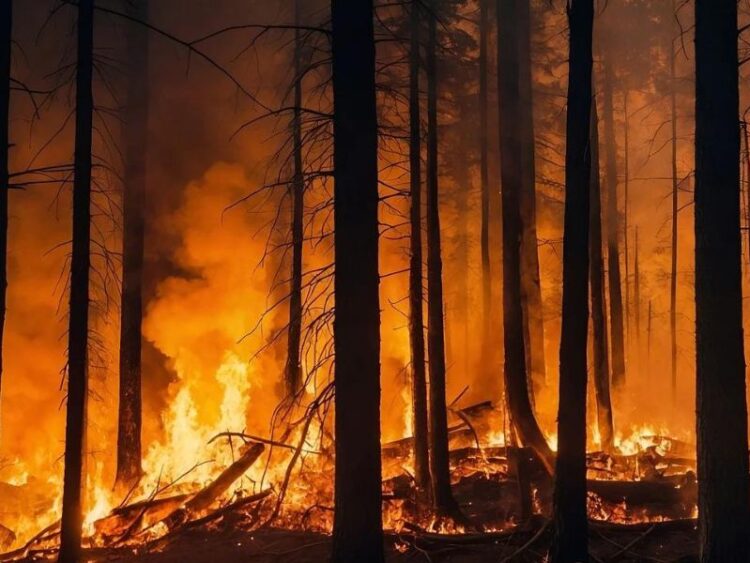 24 de octubre: ‘Día Mundial contra el Cambio Climático’ 2024, ¿Qué estamos haciendo para revertirlo?