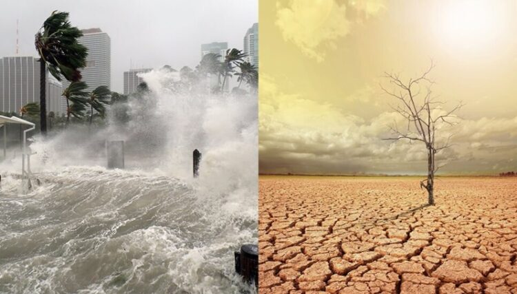 24 de octubre: ‘Día Mundial contra el Cambio Climático’ 2024, ¿Qué estamos haciendo para revertirlo?