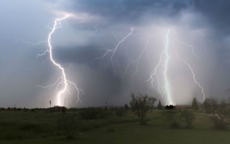 24 de octubre: ‘Día Mundial contra el Cambio Climático’ 2024, ¿Qué estamos haciendo para revertirlo?