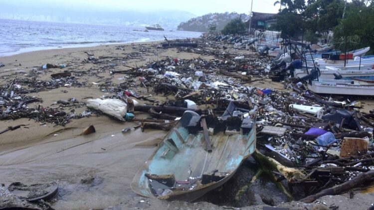 24 de octubre: ‘Día Mundial contra el Cambio Climático’ 2024, ¿Qué estamos haciendo para revertirlo?