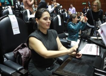 Casandra de los Santos será presidenta de una comisión en la Cámara de Diputados