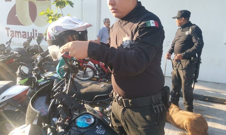 Con binomios caninos, realizan “operación mochila” en el ITACE