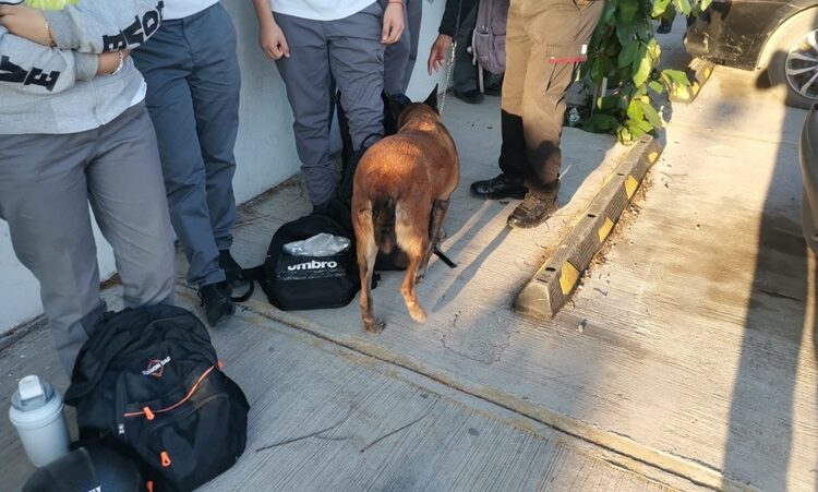 Con binomios caninos, realizan “operación mochila” en el ITACE