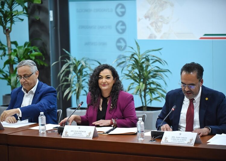 “Cuatro ejes de acción para ayudar a la frontera norte del país”: Olga