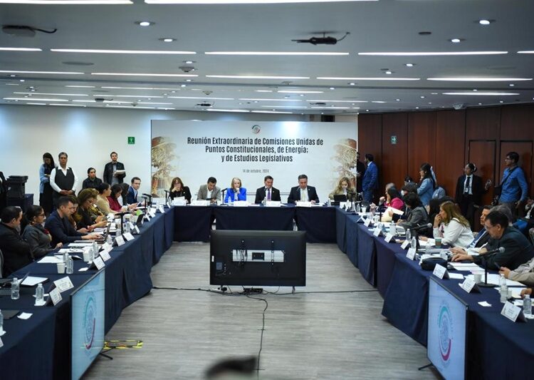 “Devolver carácter público y estratégico a CFE y Pemex”: Olga