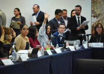 “Devolver carácter público y estratégico a CFE y Pemex”: Olga