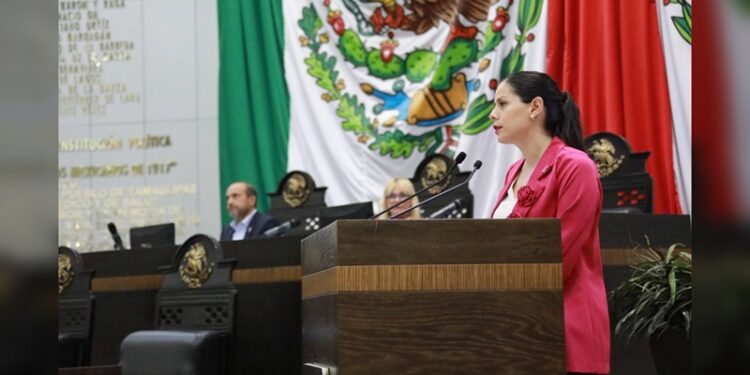 Exigen modernizar servicios de parquímetros en la capital de Tamaulipas