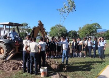 Fortalecen SEDUMA y PAUT áreas verdes en municipios
