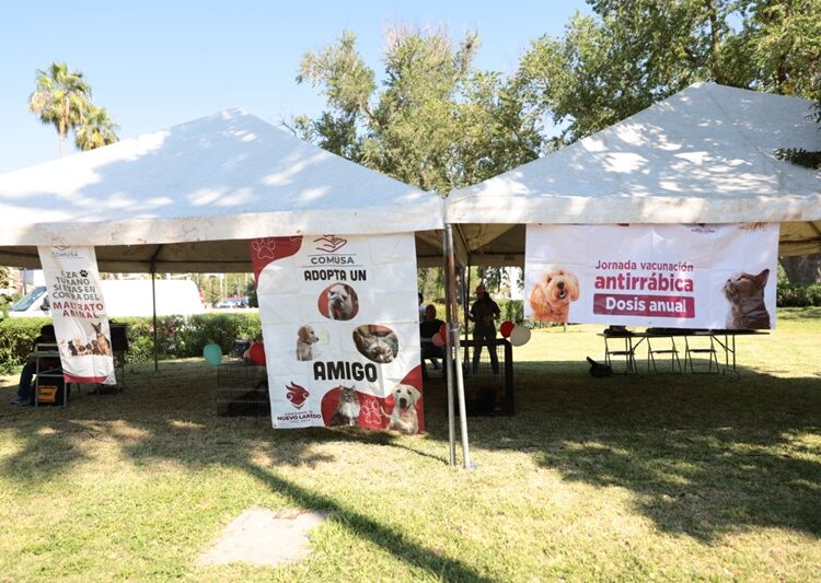 Gobierno de NLD realiza ‘Feria de Adopción Canina y Felina’