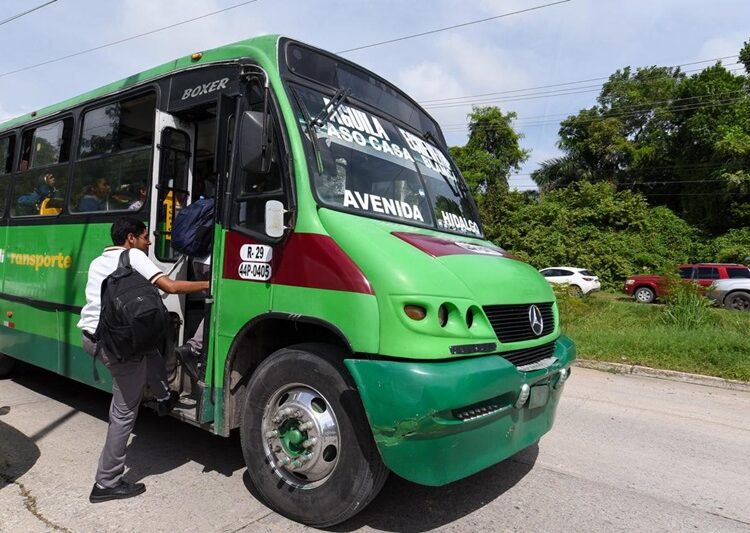 Impulsa Mónica Villarreal ampliación y mejora del Transporte Público