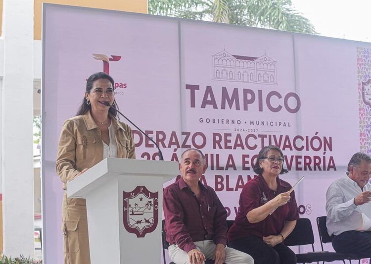 Impulsa Mónica Villarreal ampliación y mejora del Transporte Público