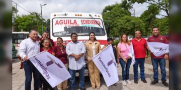 Impulsa Mónica Villarreal ampliación y mejora del Transporte Público